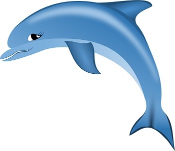 230404 delfinek 6